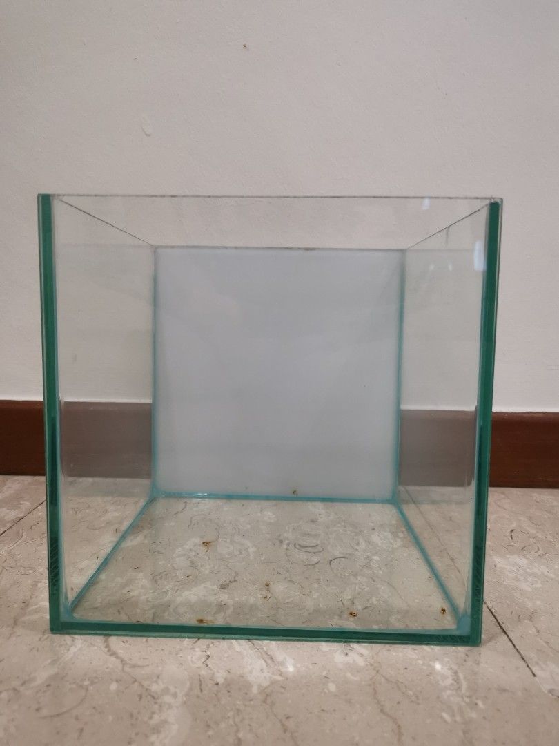 Fish glass tank, Pet Supplies, Homes & Other Pet Accessories on Carousell