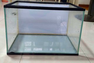 (Category: ) located in . Submitted by superb55 (Listing ID 1196498223, Image 1). Description: .