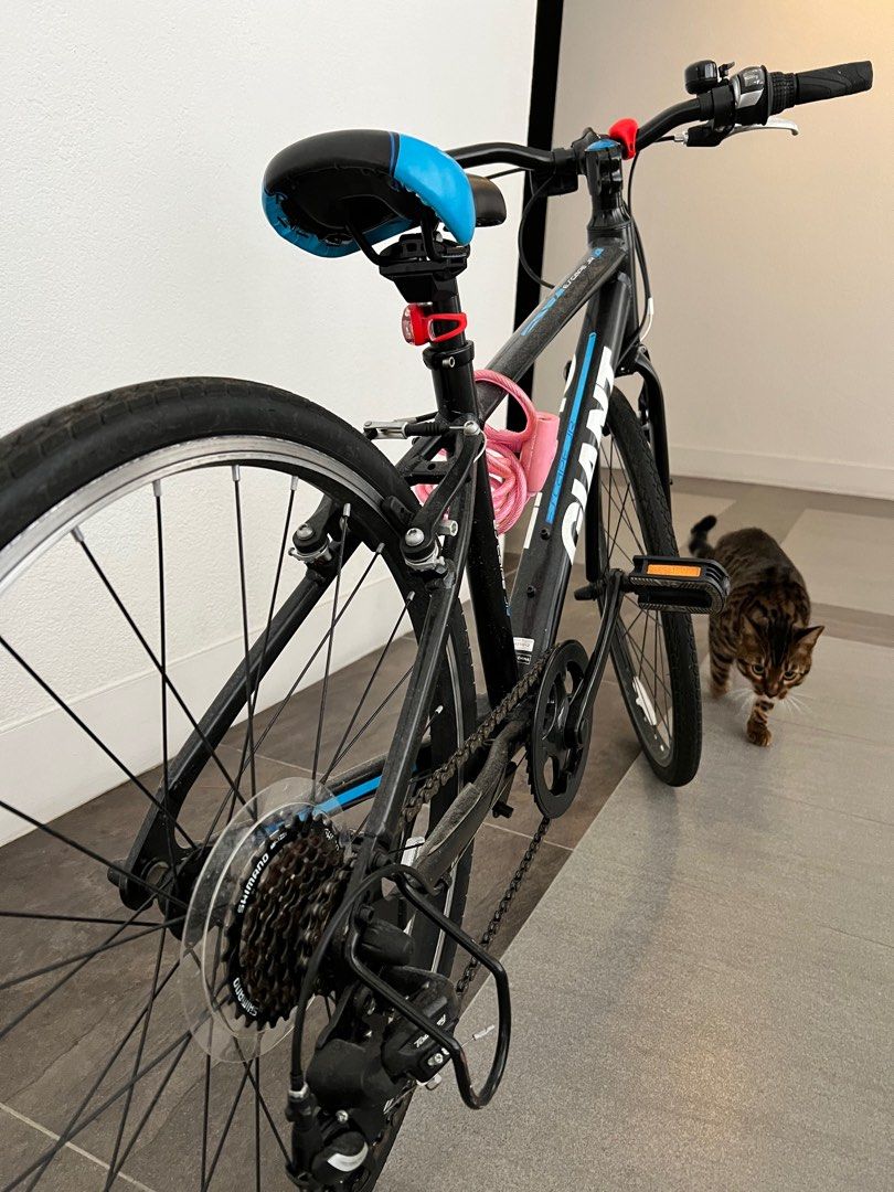 Giant escape top jr 24 2017