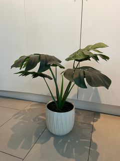 （分類：）位於 。 由 lou.sta 提交（商品編號 1196423199，圖片 1）。簡介： 。