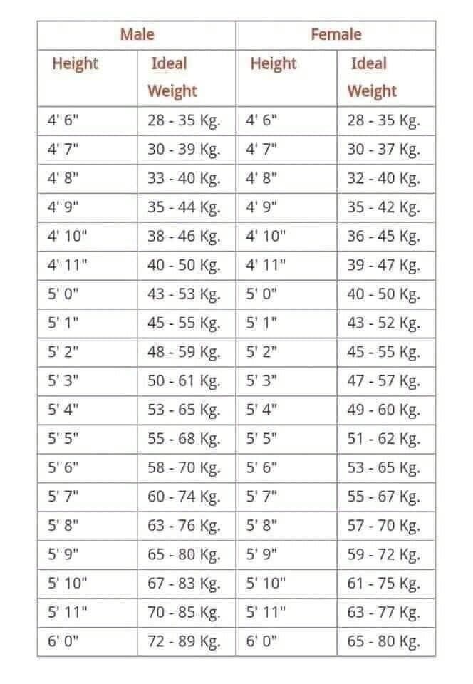 Kenwood KMX1 6Channel THX Power Amplifier, Audio, Soundbars, Speakers