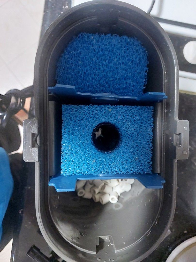 Oase FiltoSmart 100 Canister Filter, Pet Supplies, Homes & Other Pet Accessories on Carousell