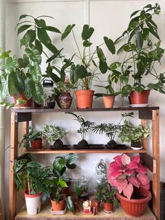 (Category: ) located in . Submitted by mooiyan (Listing ID 1196575068, Image 1). Description: .