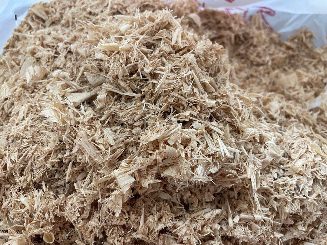 Solid Oak Wood Shavings, 傢俬＆家居, 園藝, 土壤和肥料 Carousell