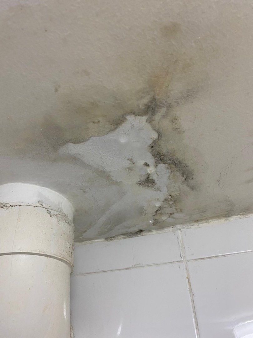Waterproofing Toilet Roof Leaking