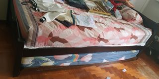 (Category: ) located in . Submitted by rajes16pcf (Listing ID 1196818132, Image 1). Description: .
