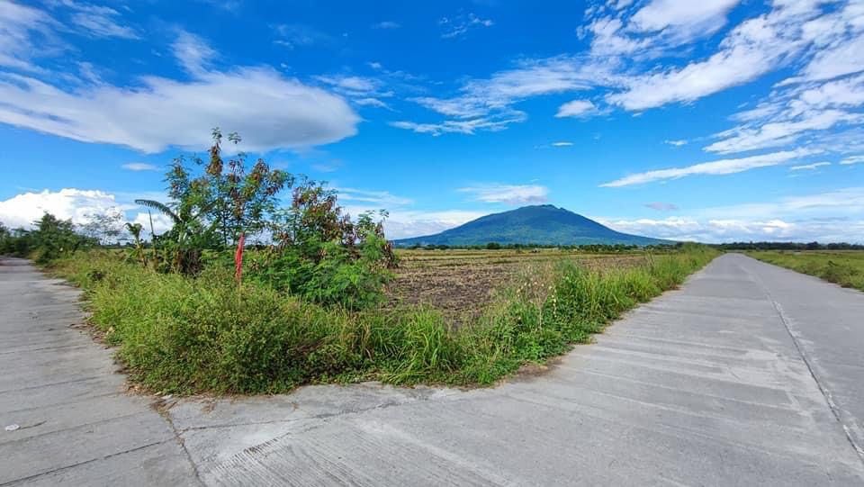 Agricultural Land in Mexico Pampanga 1.3 hectares expandable, Property
