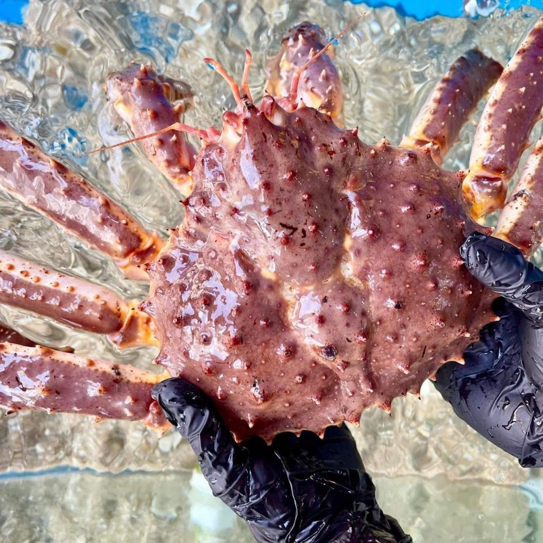 Alaska King Crab (2.7kg 3kg), Food & Drinks, Fresh Produce on Carousell