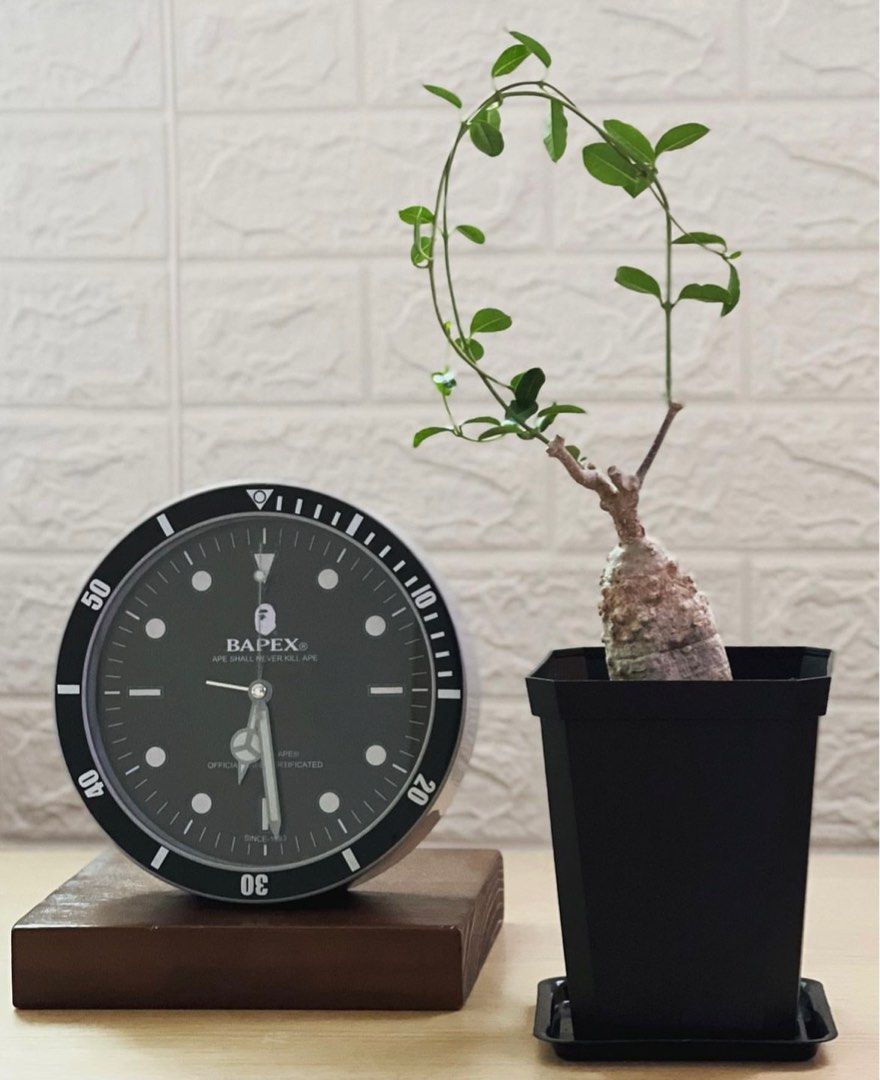 Bape e mook watch shop
