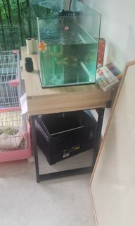(Category: ) located in . Submitted by baronyeo64 (Listing ID 1196647998, Image 1). Description: .