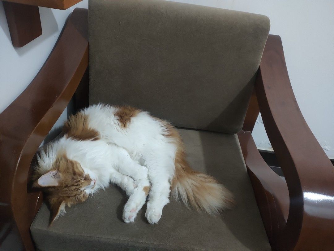 Jrm Chair, Furniture & Home Living, Furniture, Chairs on Carousell