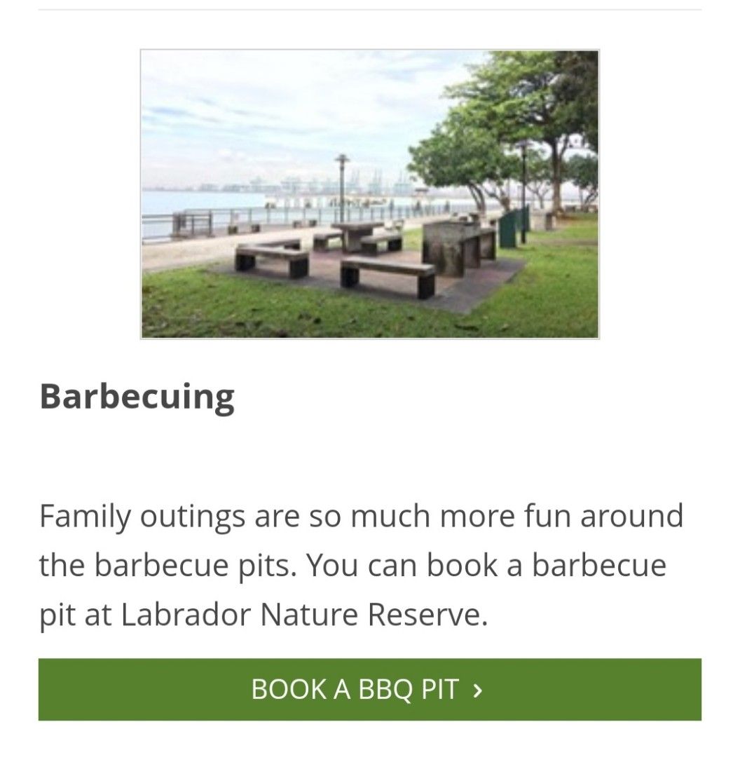 Labrador Park BBQ Pit 24 Dec 2022 Christmas Eve, TV & Home Appliances