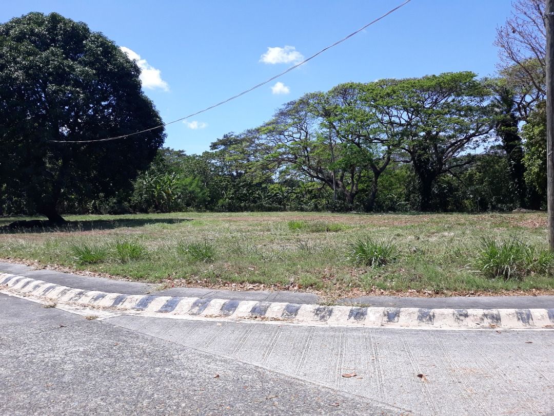 Nicest Corner Lot For Sale in Manila Southwoods Phase 3 near Alabang