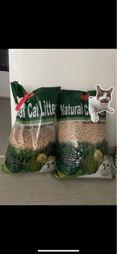 Natural Cat Litter Pine, Pet Supplies, Health & Grooming on Carousell