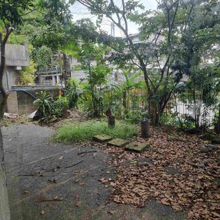 NEW MANILA  Lot for Sale