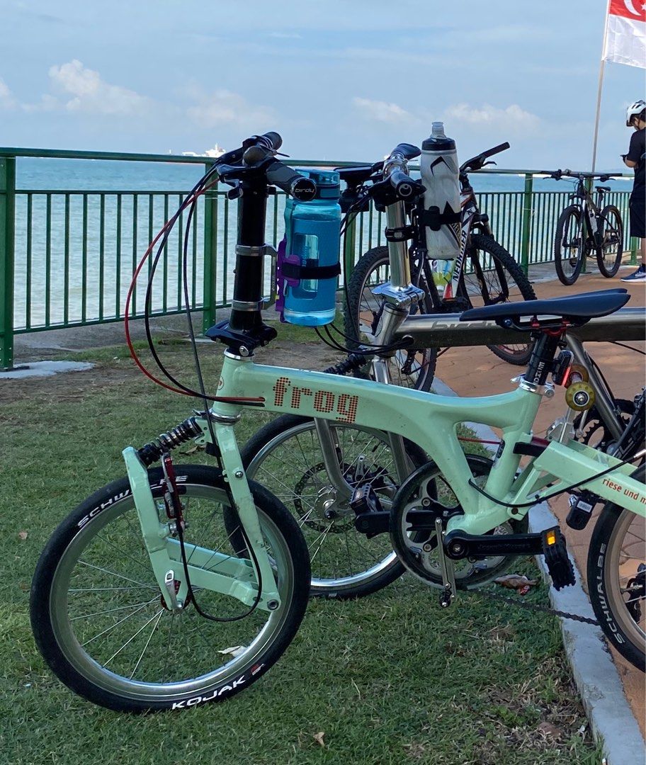 frog cycle company origin