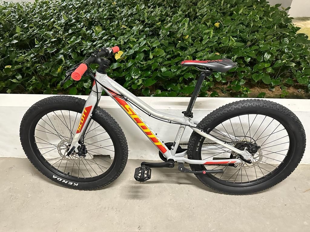 Scott scale discount 24 disc