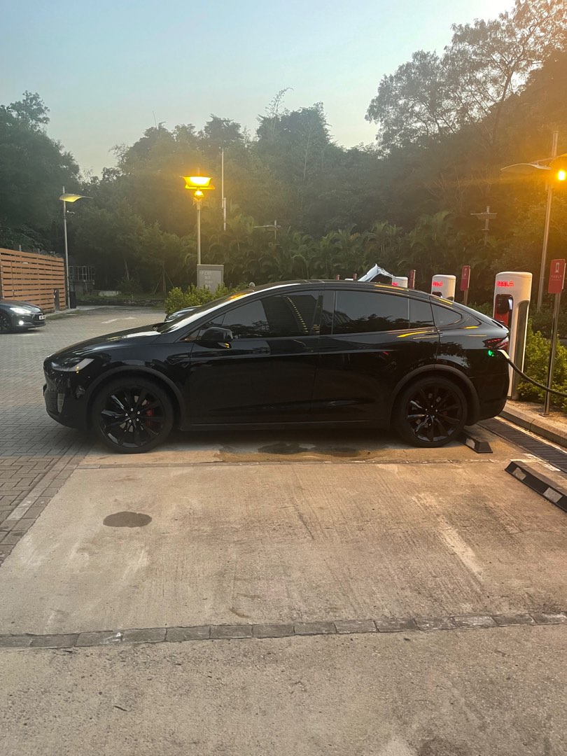 Tesla Model S P100D (A)62866876452737112