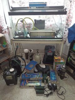 (Category: ) located in . Submitted by pyfong1-13821 (Listing ID 1196910103, Image 1). Description: .