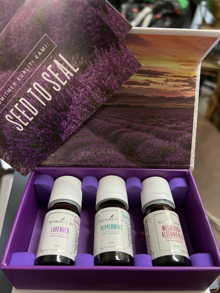 Ember Diffuser Young Living, Furniture & Home Living, Home Fragrance on