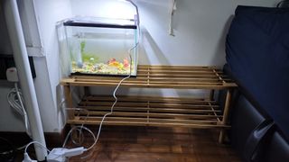 (Category: ) located in . Submitted by thihazaw28 (Listing ID 1196866871, Image 1). Description: .