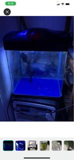 (Category: ) located in . Submitted by faris709 (Listing ID 1196981324, Image 1). Description: .