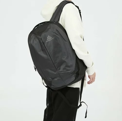 Gregory SKETCH 22 RF Backpack 22L Carousell