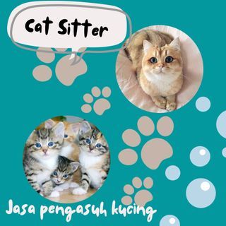 JASA PENGASUH KUCING (cat sitter)