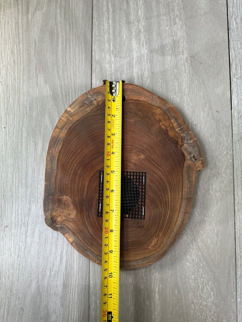 Platycerium Teak Wood Mounting Board, Furniture & Home Living, Gardening, Plants & Seeds on