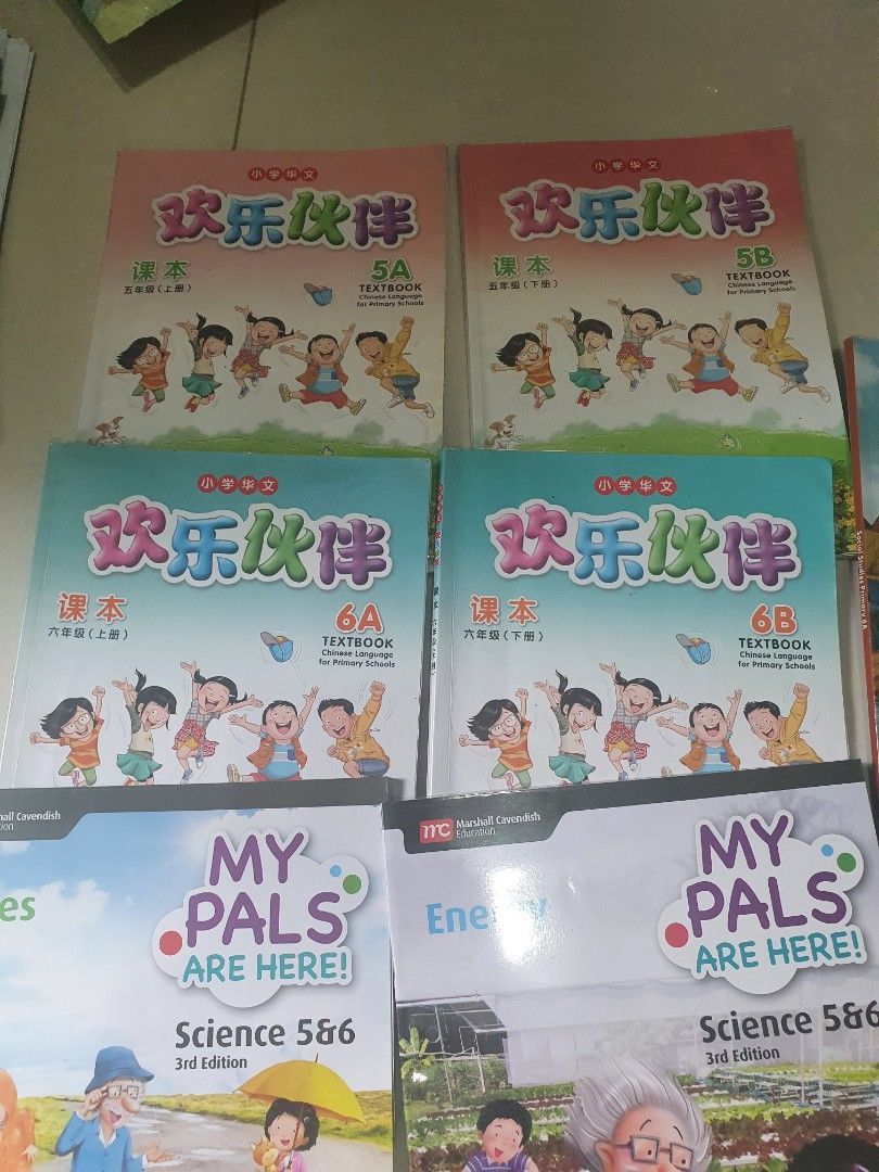 Primary 5 & 6 Textbooks and Assessment Books, Hobbies & Toys, Books ...