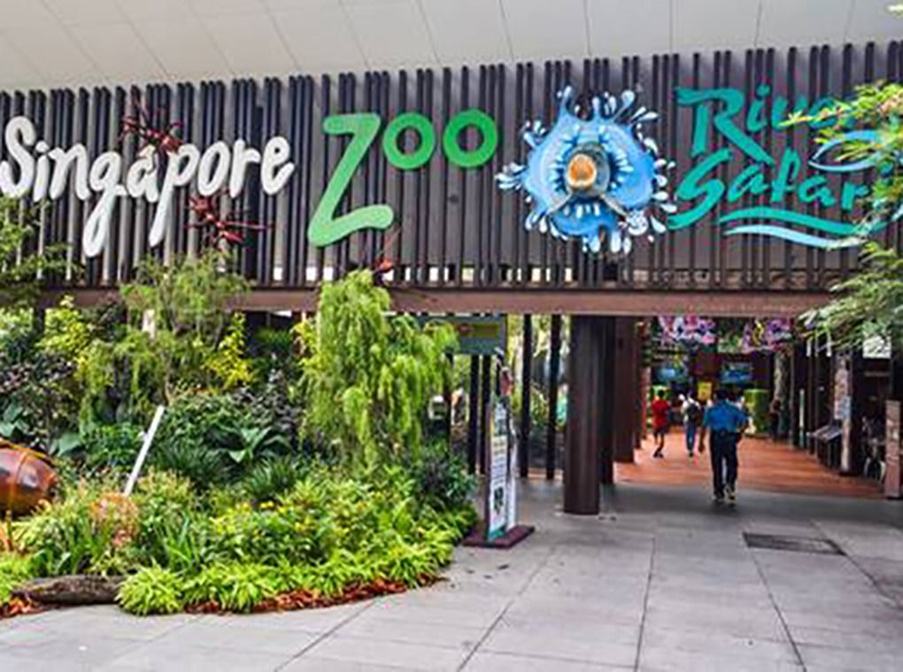 Singapore Zoo Tickets, Tickets & Vouchers, Local Attractions