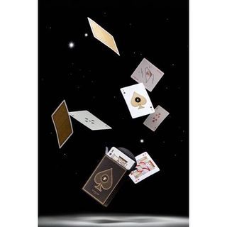 全新 STARLUX星宇航空撲克牌  全部花色見照片 獨創設計 值得珍藏