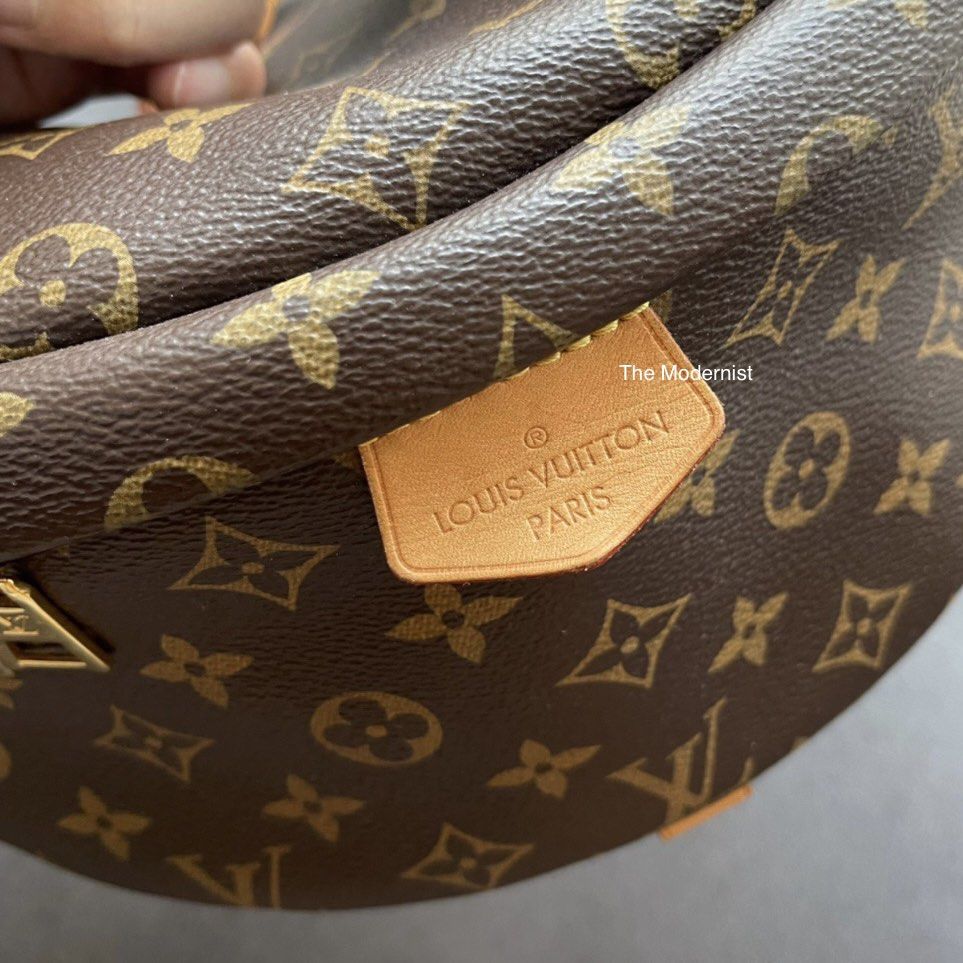 Louis Vuitton Bum bag LV, Luxury, Bags & Wallets on Carousell