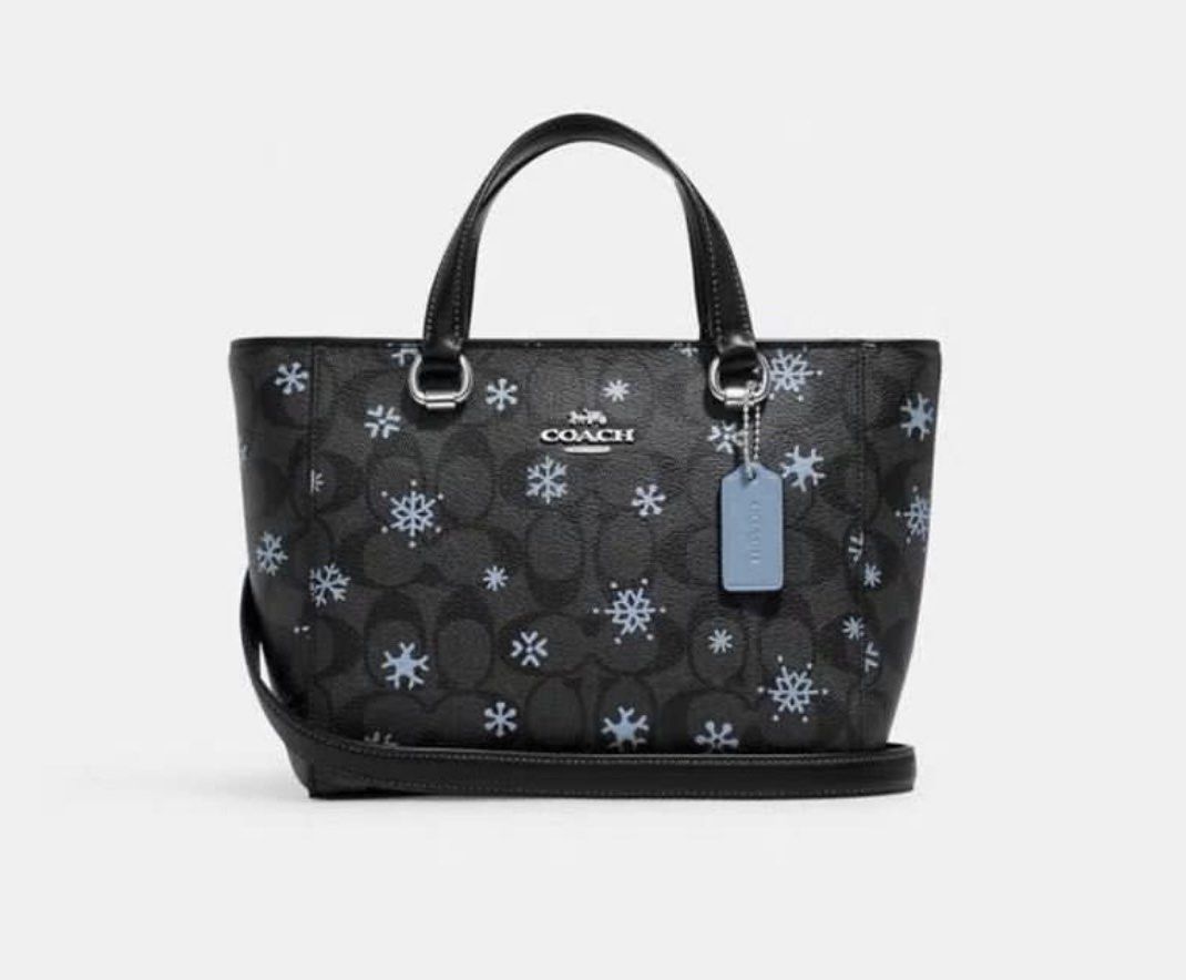 Coach purse with snowflakes 2025