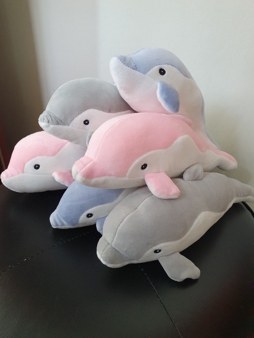 dolphin teddy