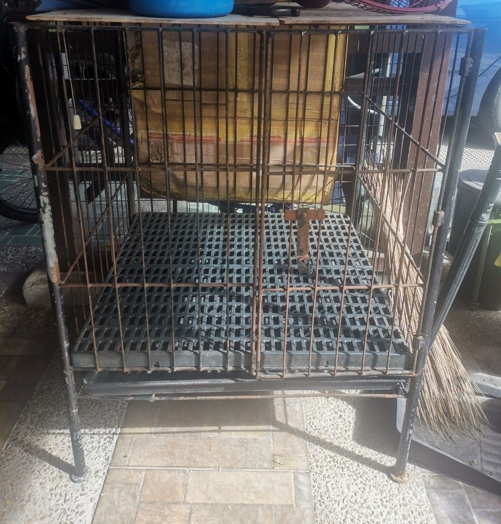 Dog Cage, Pet Supplies, Homes & Other Pet Accessories on Carousell