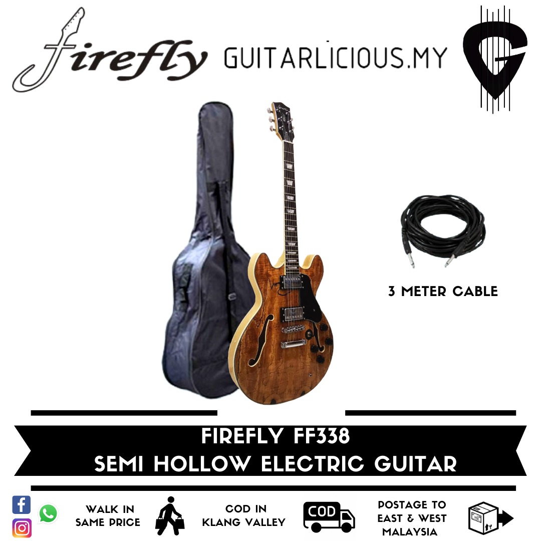 Firefly 338 sales guitar case
