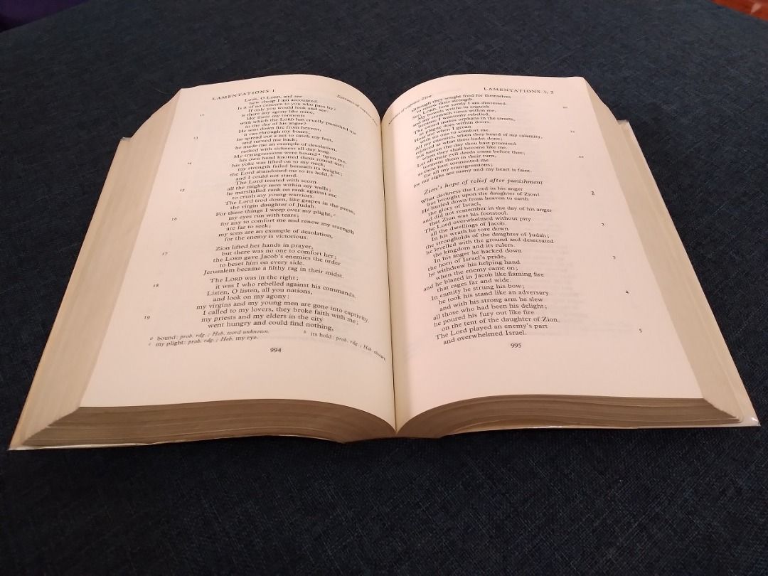 Holy Bible: The New English Bible 1971, Hobbies &amp; Toys, Books ...
