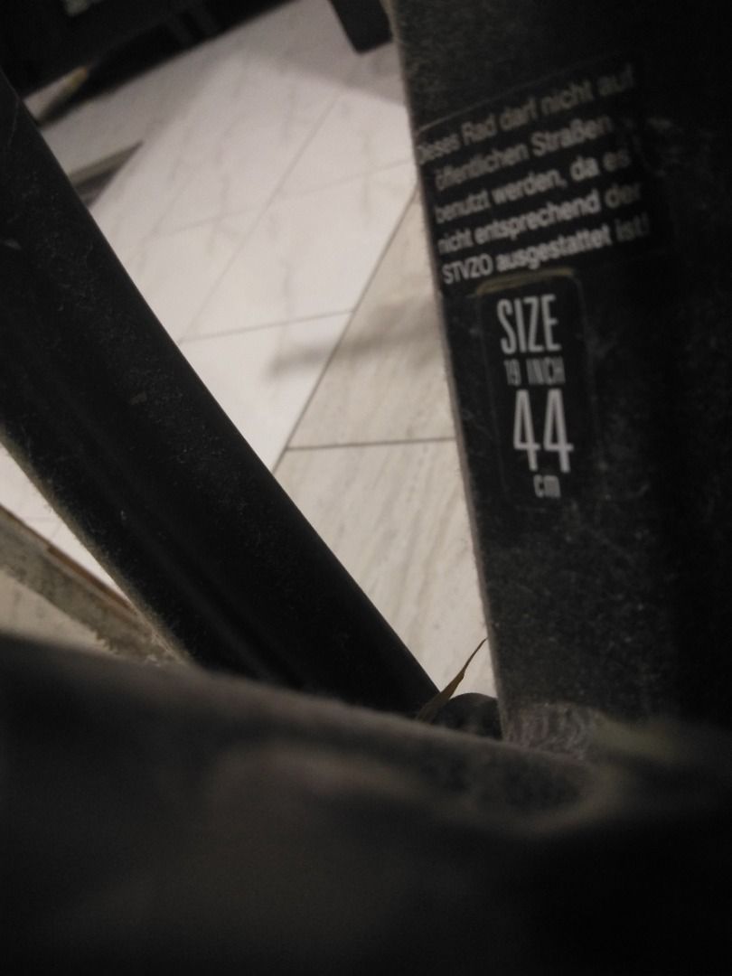 haibike big curve rc 29