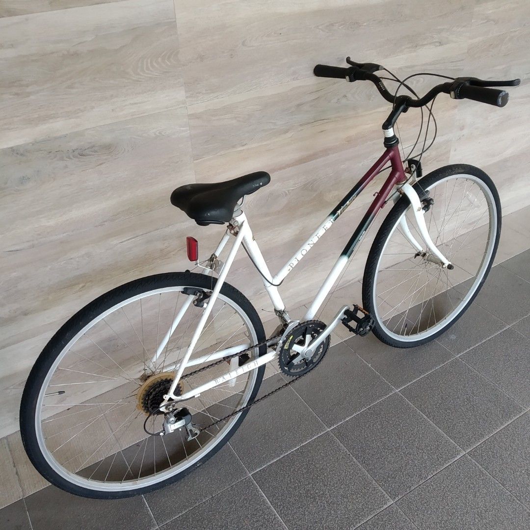 Raleigh pioneer sales venture