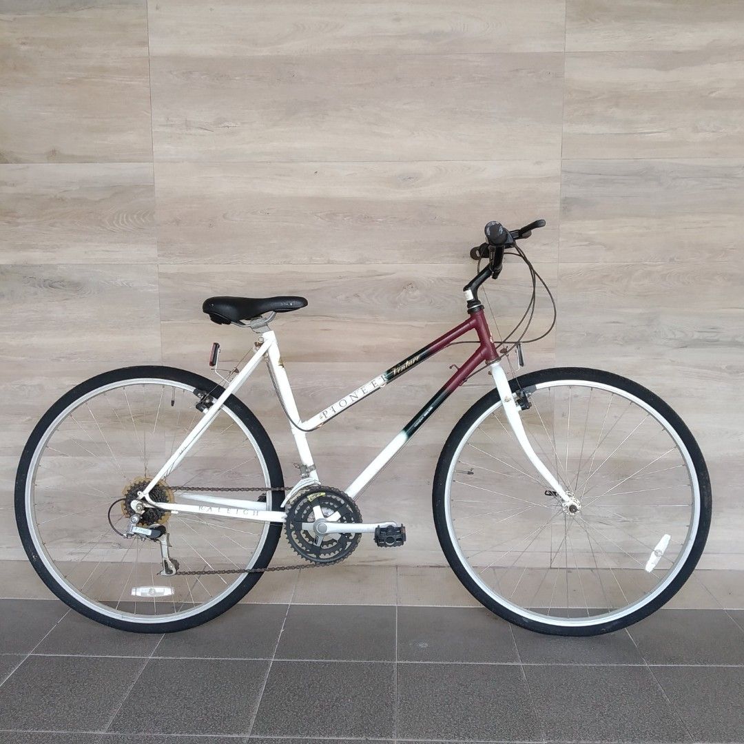 Raleigh Pioneer Venture 29er 700c