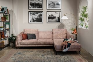 Sofas and Bedframe