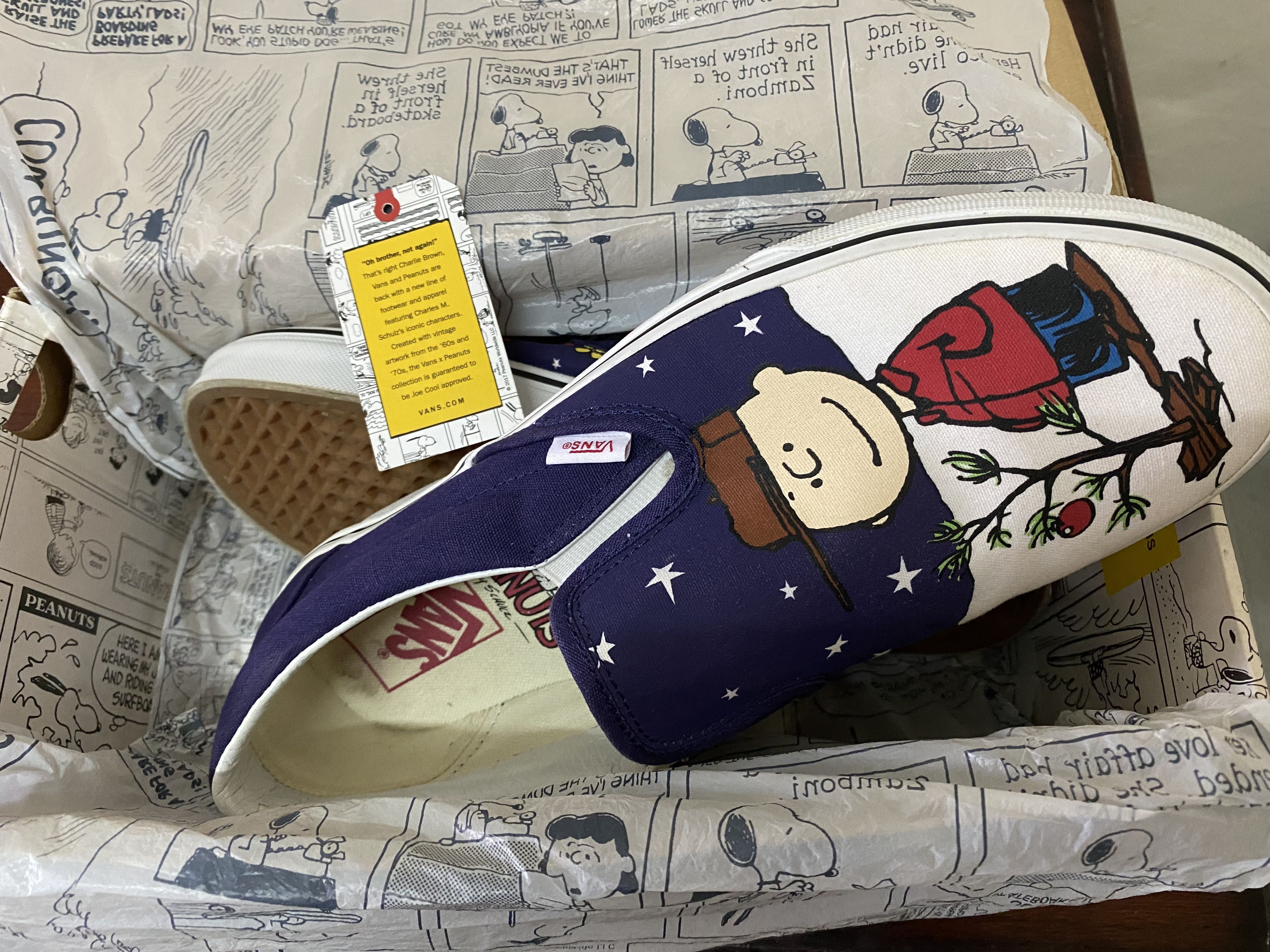 Charlie brown clearance vans 10.5