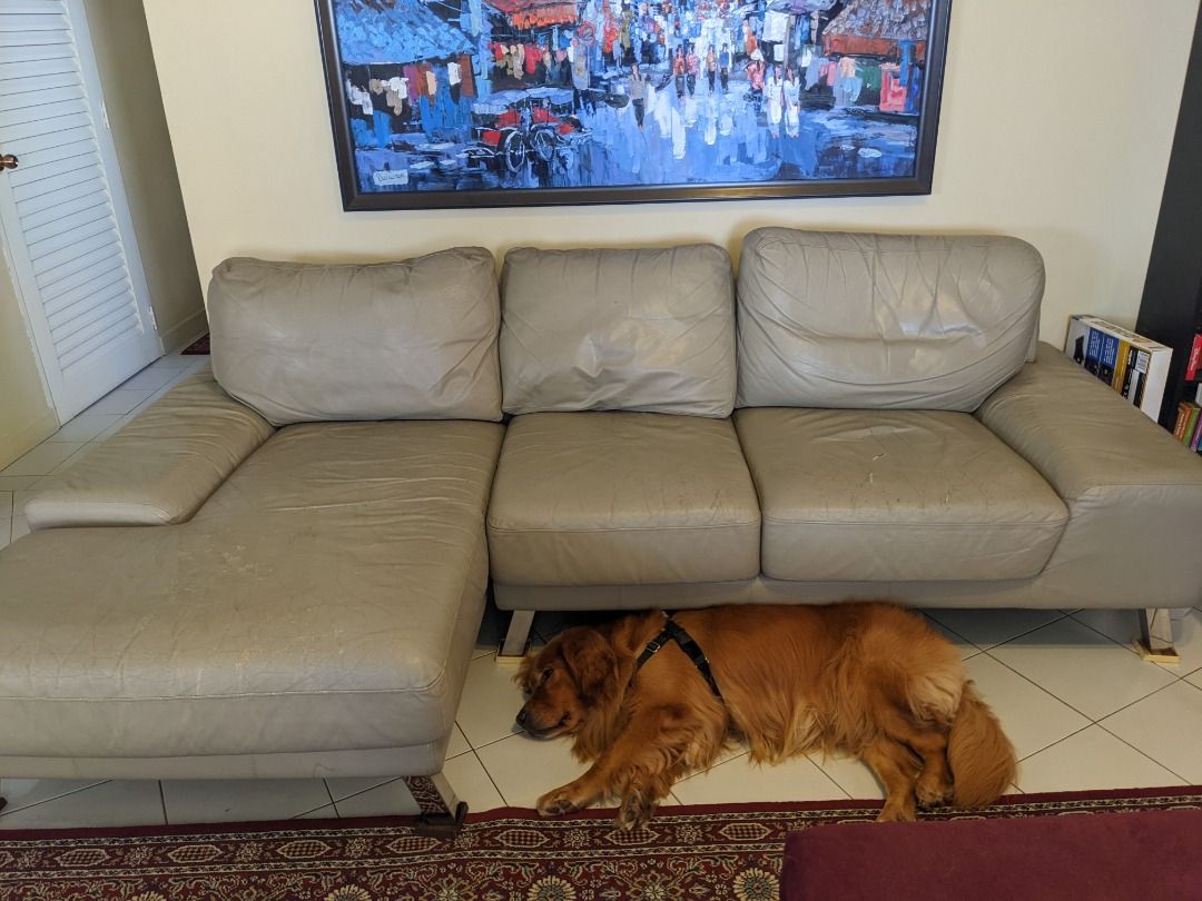 Used leather sales sectional for sale