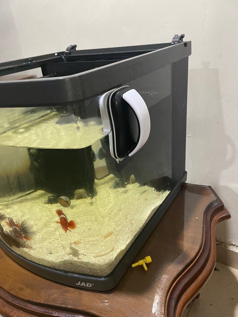 JAD brand curve aquarium Pet Supplies Homes Other Pet