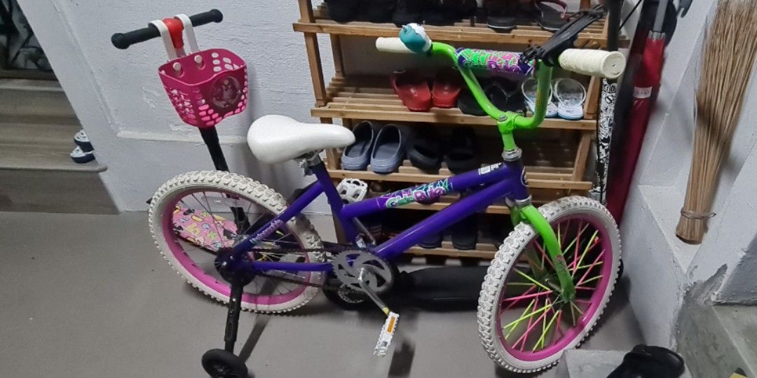 20 inch magna girls rule discount bmx bike