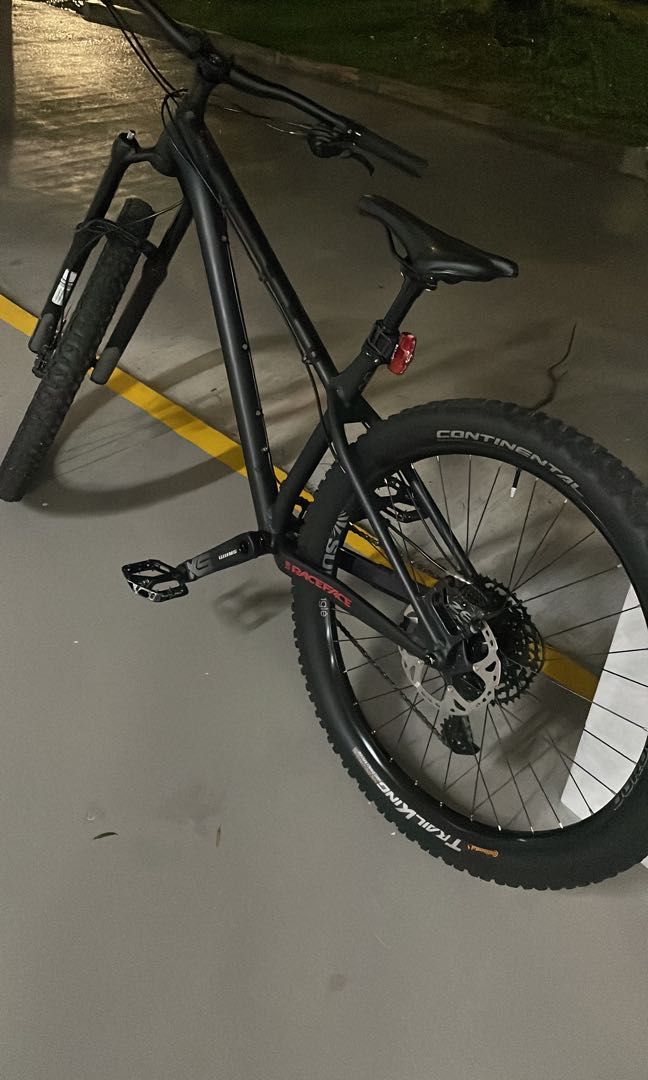 ns bikes eccentric alu evo 29