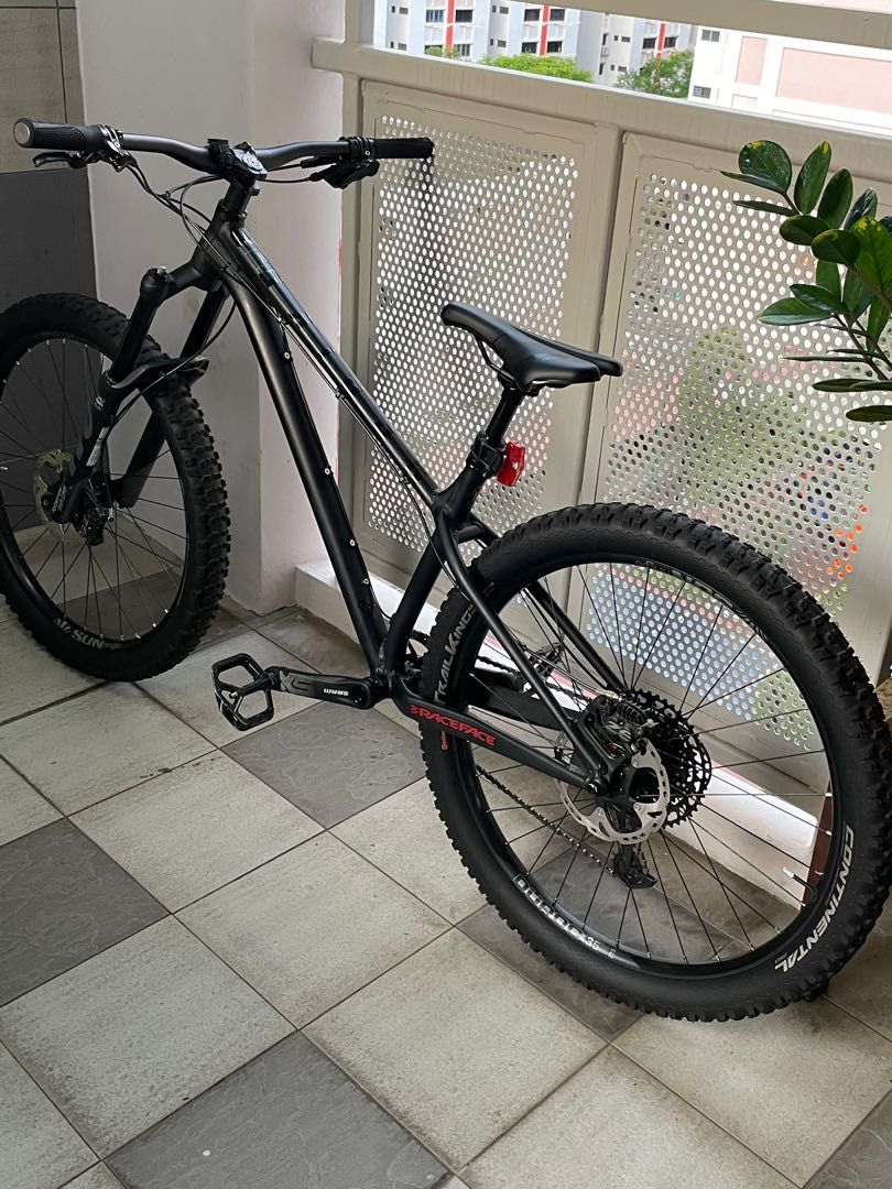 ns bikes eccentric alu evo 29