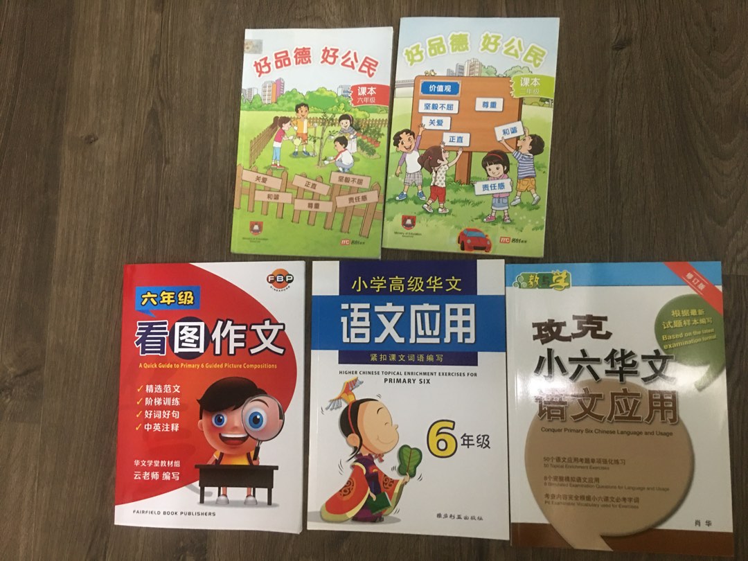 P2/P5/P6 psle textbook and assessment books, Hobbies & Toys, Books ...