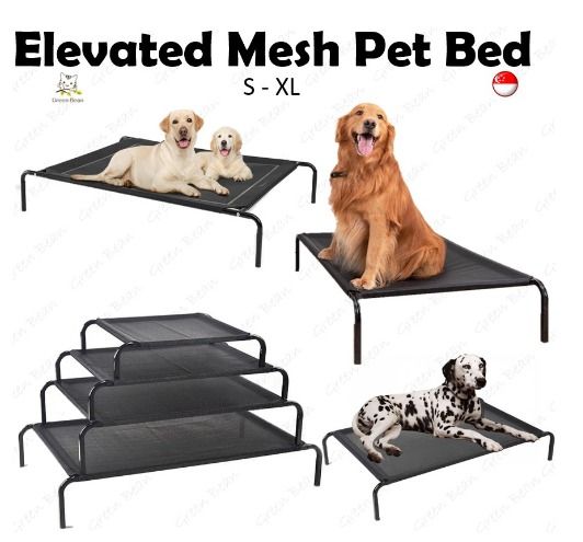 Elevated mesh sales dog bed